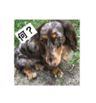 モカです（個別スタンプ：12）