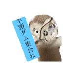 モカです（個別スタンプ：27）