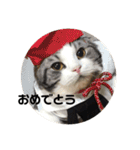 猫スタンプ2（個別スタンプ：39）