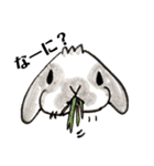 うさぎの仲間たち 手描き（個別スタンプ：5）