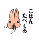 うさぎの仲間たち 手描き（個別スタンプ：6）