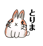 うさぎの仲間たち 手描き（個別スタンプ：7）