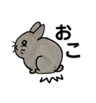 うさぎの仲間たち 手描き（個別スタンプ：10）
