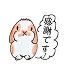 うさぎの仲間たち 手描き（個別スタンプ：19）