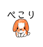 うさぎの仲間たち 手描き（個別スタンプ：20）