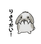 うさぎの仲間たち 手描き（個別スタンプ：21）