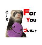 I LOVE FERRET 12 フェレット（個別スタンプ：11）