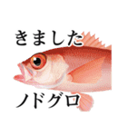 Fisherman's Sticker Vol.9（個別スタンプ：1）