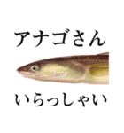 Fisherman's Sticker Vol.9（個別スタンプ：3）