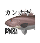 Fisherman's Sticker Vol.9（個別スタンプ：5）