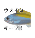 Fisherman's Sticker Vol.9（個別スタンプ：7）