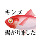 Fisherman's Sticker Vol.9（個別スタンプ：9）