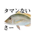 Fisherman's Sticker Vol.9（個別スタンプ：10）