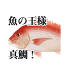 Fisherman's Sticker Vol.9（個別スタンプ：12）