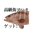 Fisherman's Sticker Vol.9（個別スタンプ：13）