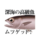 Fisherman's Sticker Vol.9（個別スタンプ：14）