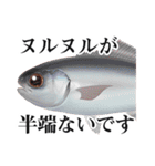 Fisherman's Sticker Vol.9（個別スタンプ：15）