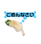 ごんた（個別スタンプ：6）