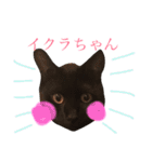 ねこびい（個別スタンプ：3）