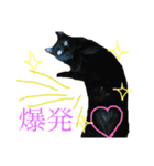 ねこびい（個別スタンプ：15）