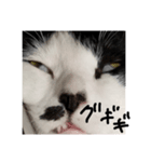 ま？なのですか…（個別スタンプ：5）