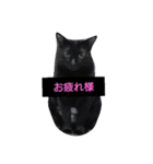 あじさん（個別スタンプ：3）
