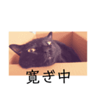 あじさん（個別スタンプ：8）