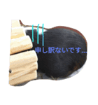 モルモットのモコ.スタンプ3（個別スタンプ：18）