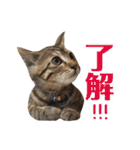 たちつてとむたろう（個別スタンプ：5）