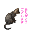 たちつてとむたろう（個別スタンプ：10）