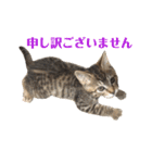 たちつてとむたろう（個別スタンプ：14）