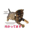たちつてとむたろう（個別スタンプ：16）