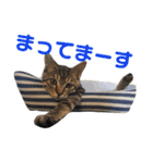 たちつてとむたろう（個別スタンプ：17）
