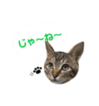 たちつてとむたろう（個別スタンプ：18）
