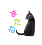 たちつてとむたろう（個別スタンプ：19）