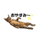たちつてとむたろう（個別スタンプ：20）