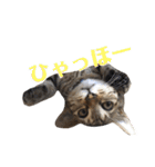 たちつてとむたろう（個別スタンプ：22）