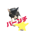 ととまる01（個別スタンプ：1）