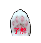ととまる01（個別スタンプ：2）