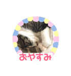 ととまる01（個別スタンプ：3）