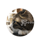 ととまる01（個別スタンプ：4）