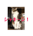 ととまる01（個別スタンプ：5）