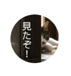 ととまる01（個別スタンプ：8）