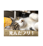 ととまる01（個別スタンプ：9）