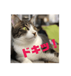 ととまる01（個別スタンプ：12）