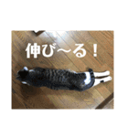 ととまる01（個別スタンプ：14）