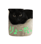 くろねこオキウト  日々まっくろけ（個別スタンプ：2）