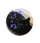 くろねこオキウト  日々まっくろけ（個別スタンプ：4）
