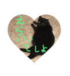 くろねこオキウト  日々まっくろけ（個別スタンプ：6）