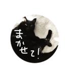 くろねこオキウト  日々まっくろけ（個別スタンプ：8）